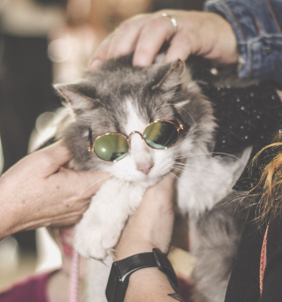 Photograph by Ivan Monges