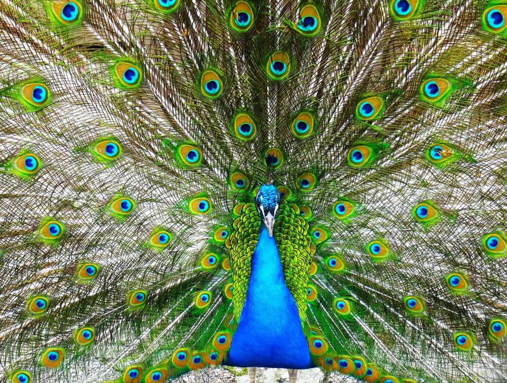 Photograph by Марина Раткун