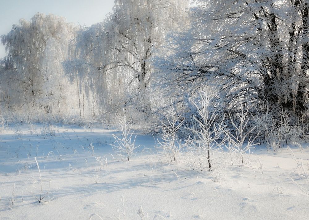 Photograph by Кондрашова Светлана