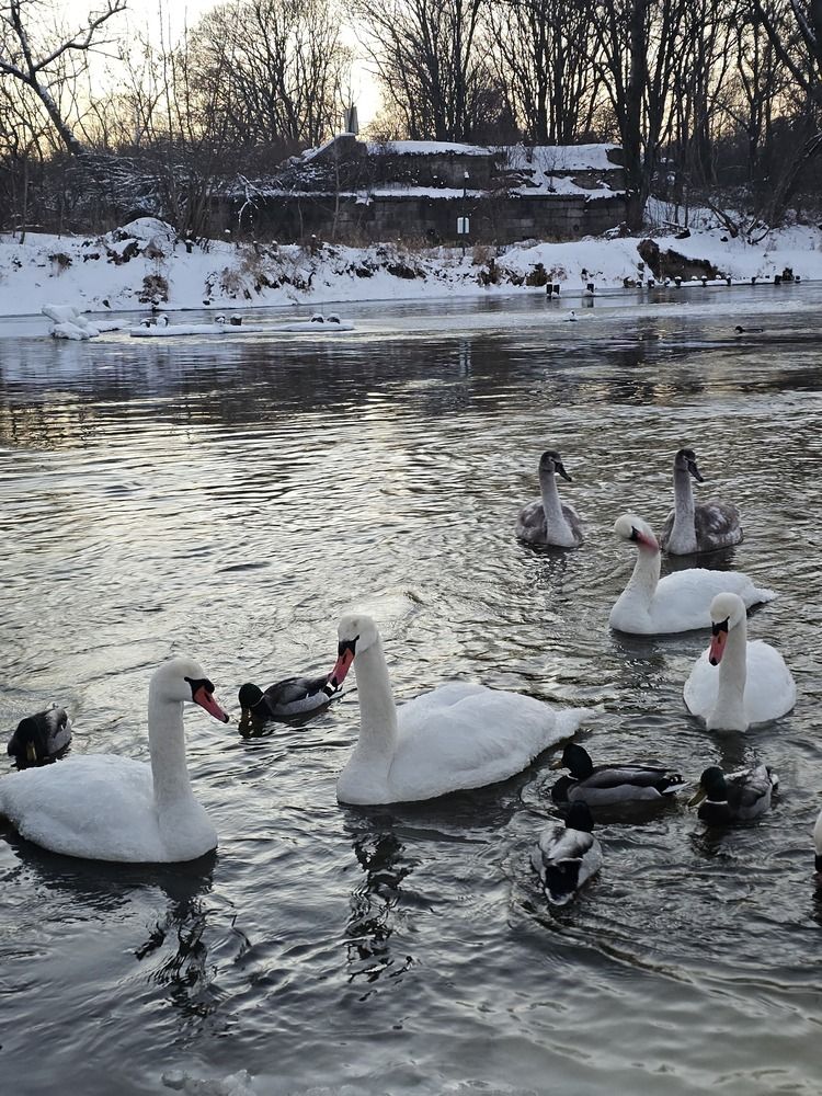 Photograph by Александр Петуховский