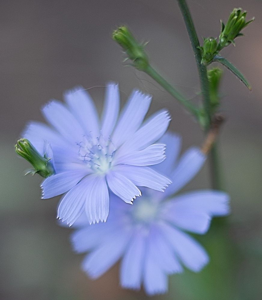 Photograph by Ирина