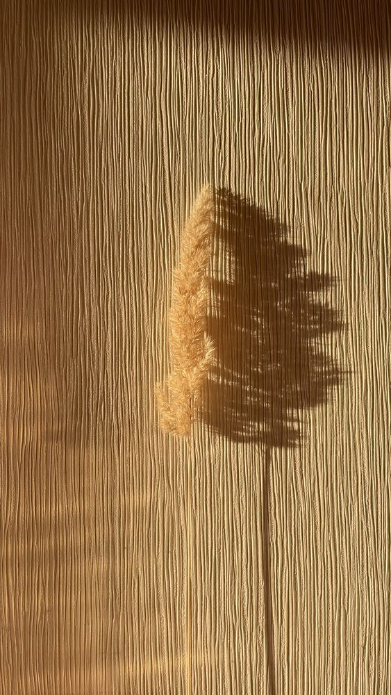 Фотография автора Евгения Брагина