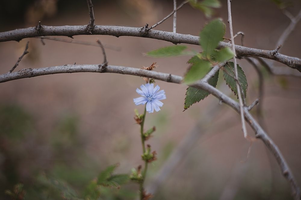 Photograph by Ирина