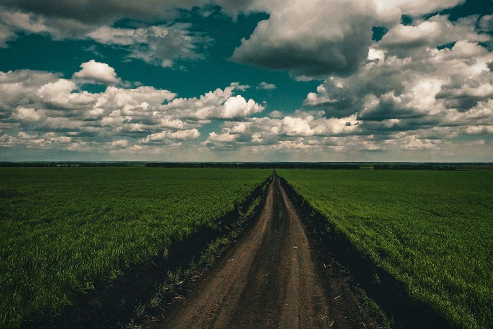 Фотография автора Алексей Парамзин