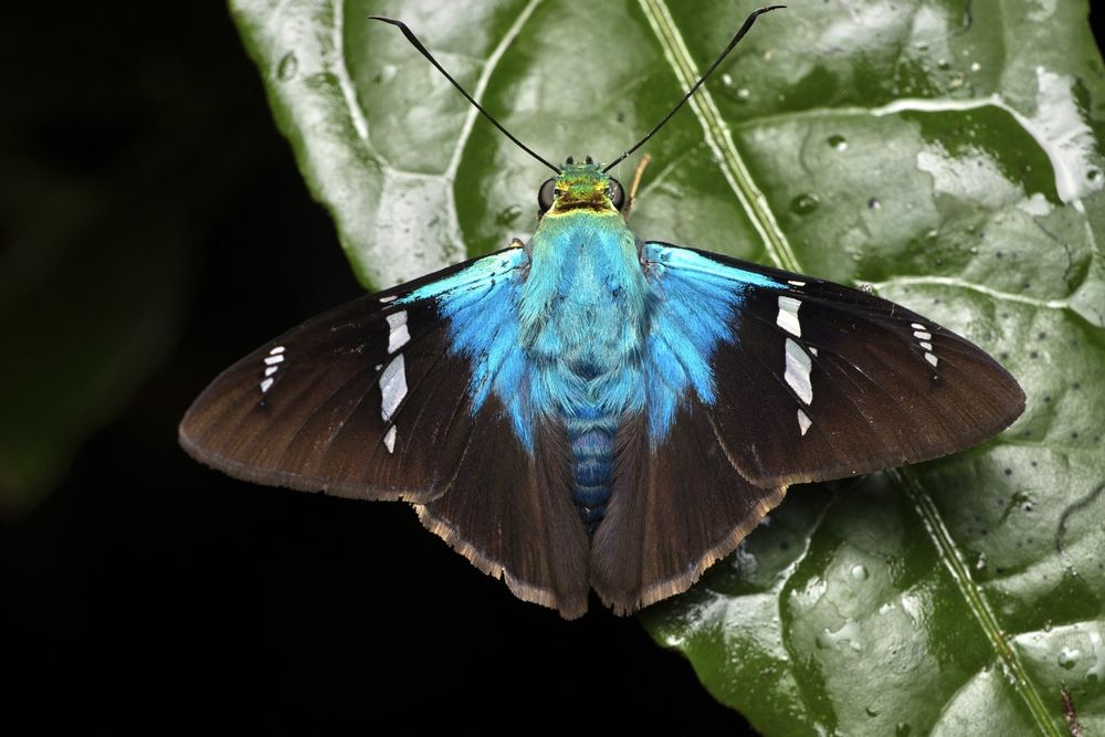 Фотография автора Eduardo Salvador Cabrera