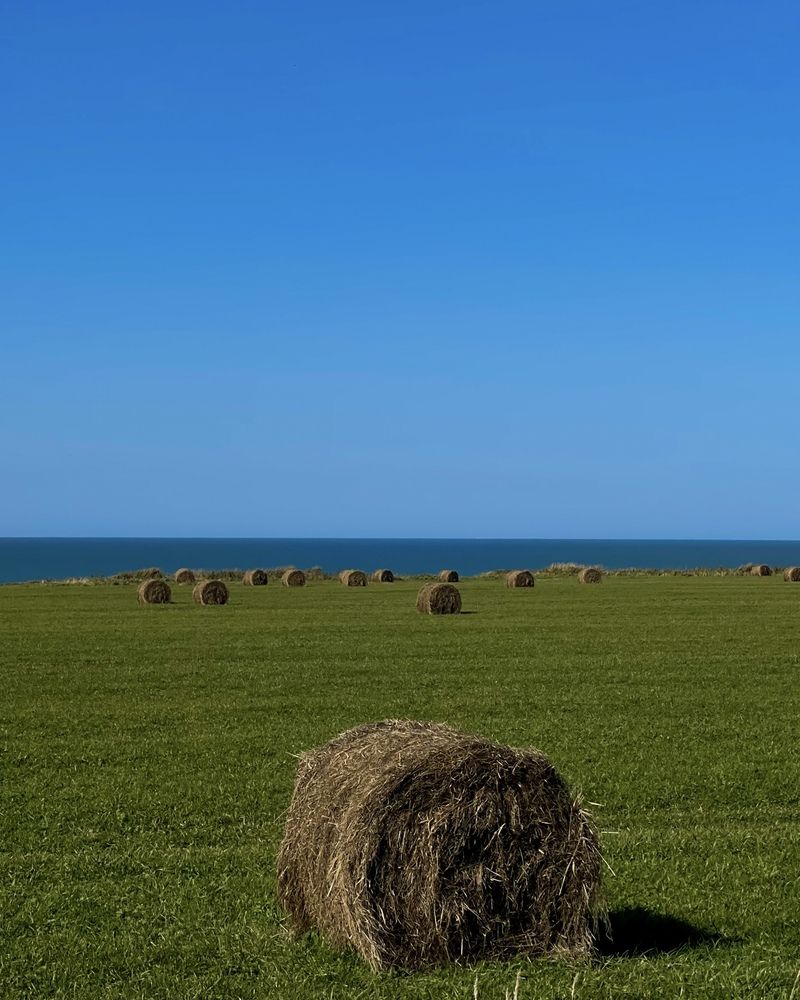 Фотография автора Елена Меньшикова