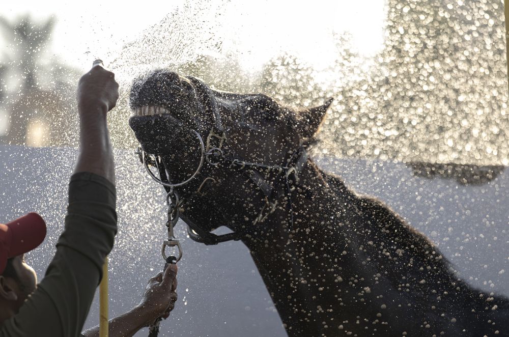 Photograph by Одаренко Ольга