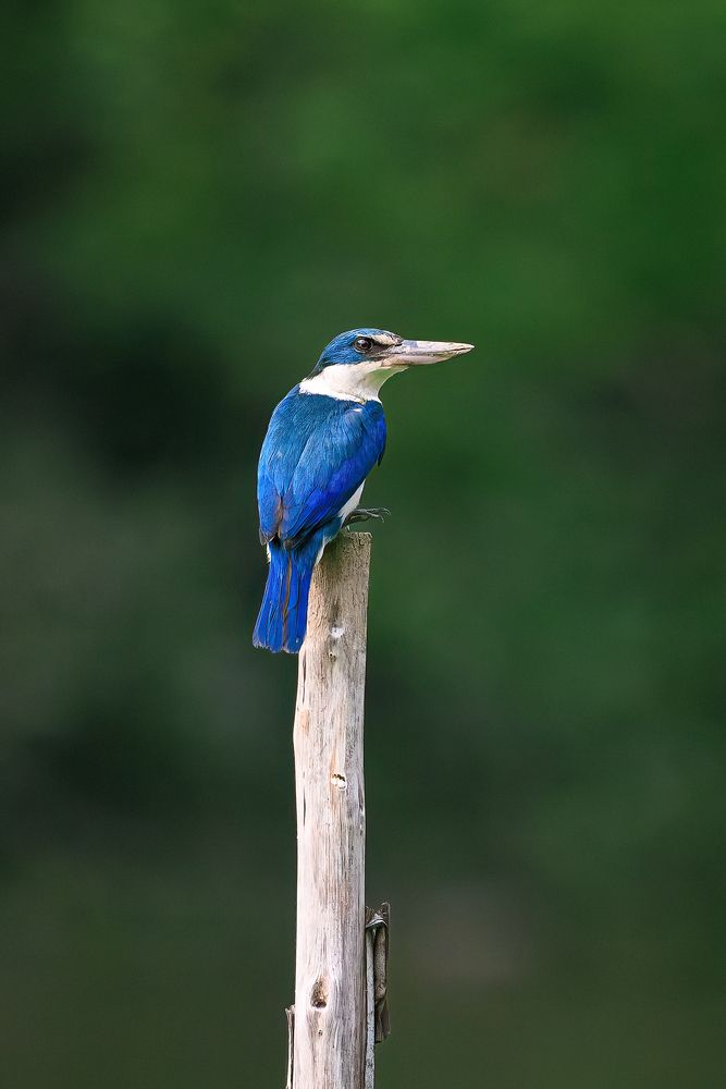 Photograph by Chau Nguyen