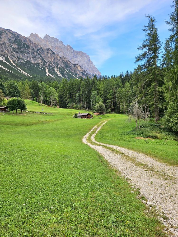 Фотография автора Elena Polonetskaya