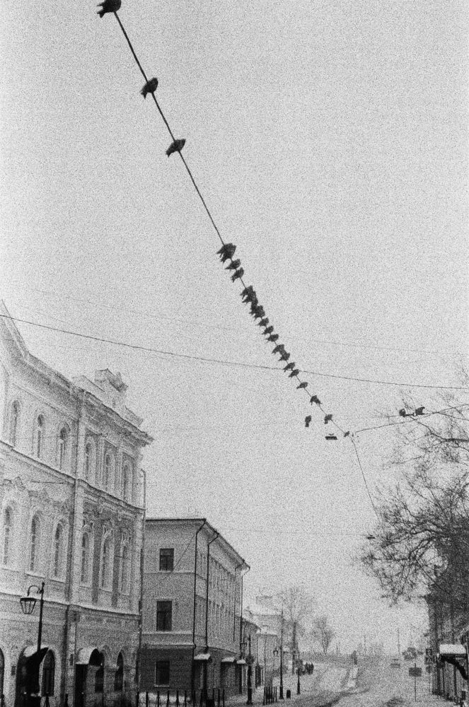 Photograph by Лада Кляузина