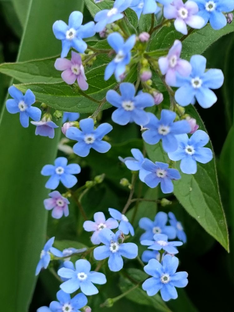 Photograph by Елена Пархоменко