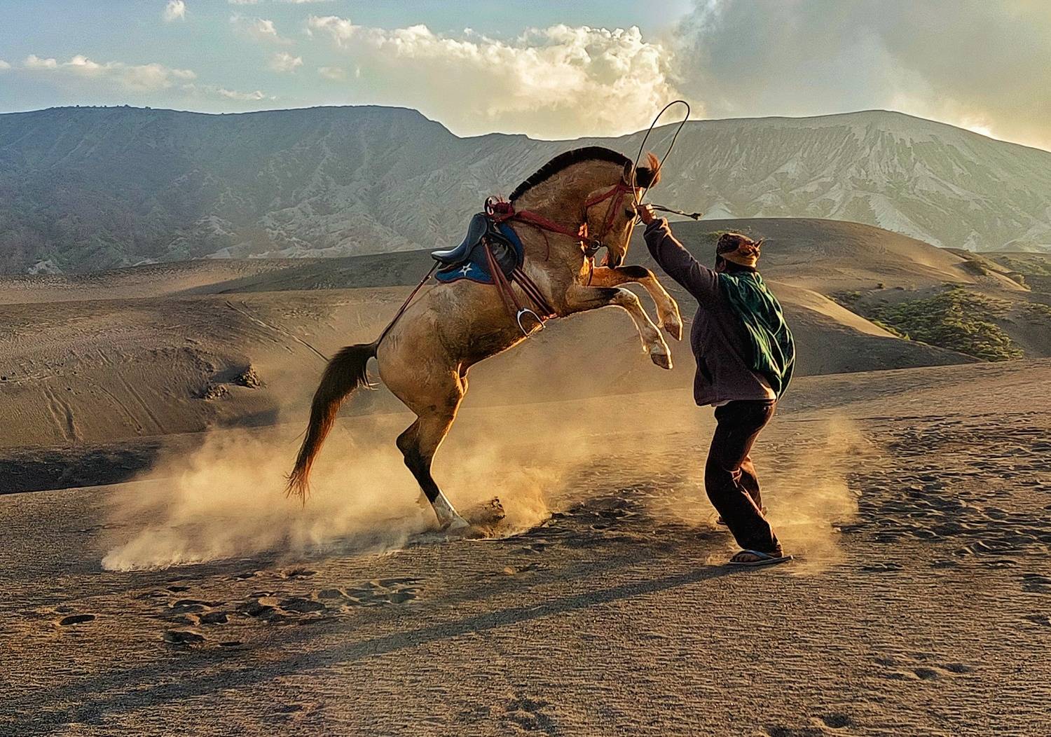 Dancing Horse Dancing Horse