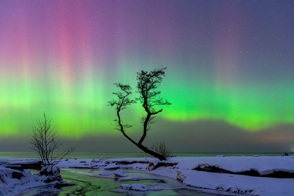 Photograph by Дмитрий Грошиков