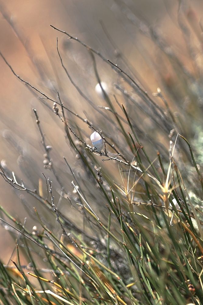 Photograph by Полина Сульженко