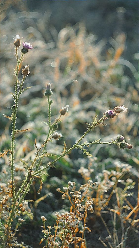 Photograph by Полина Сульженко