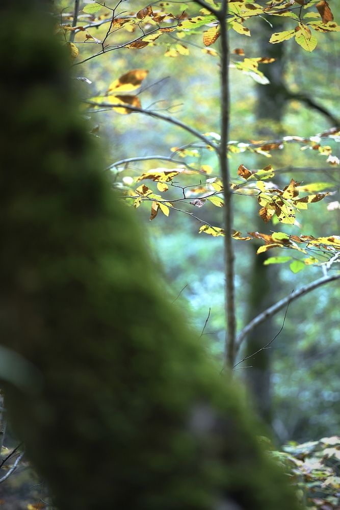 Photograph by Полина Сульженко