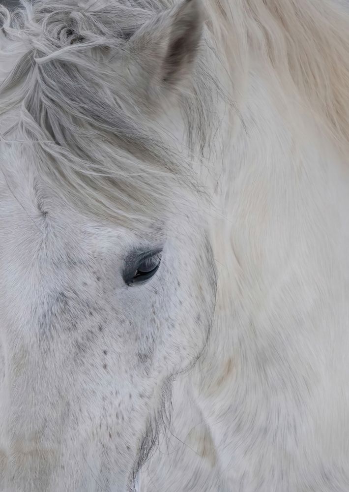 Photograph by Allan Wallberg