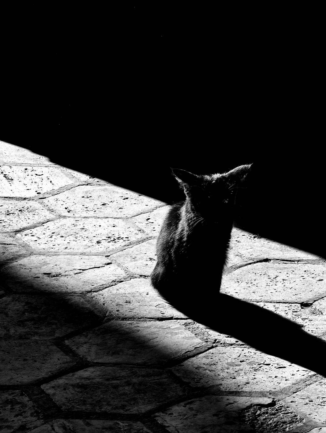 Photo #13162920