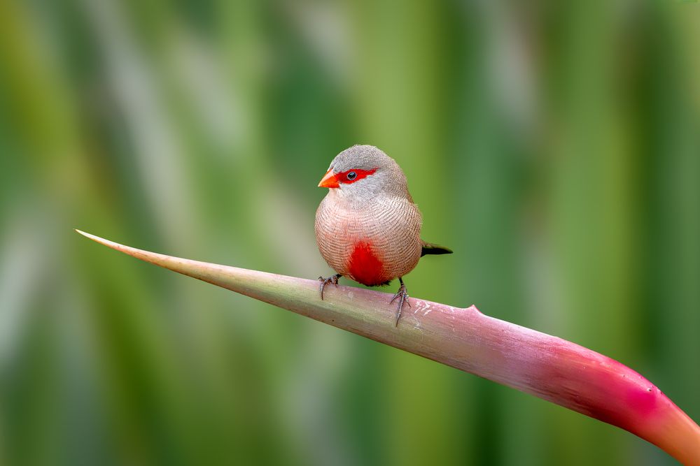 Photograph by Abdulrazzak M. Al Ali