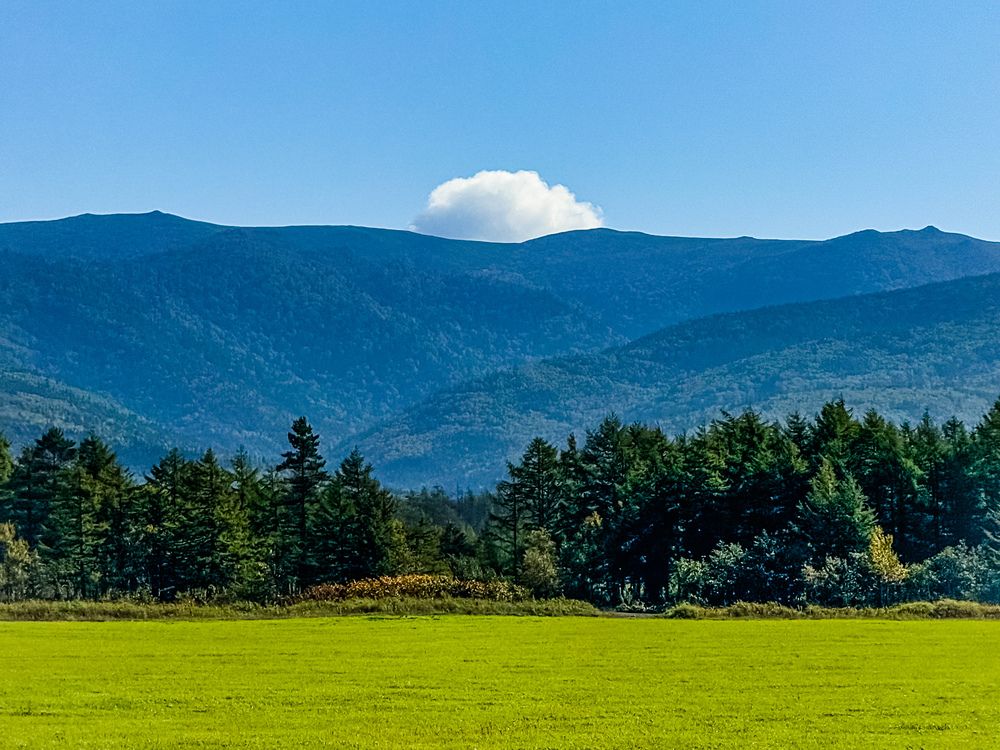 Фотография автора Елена Меньшикова