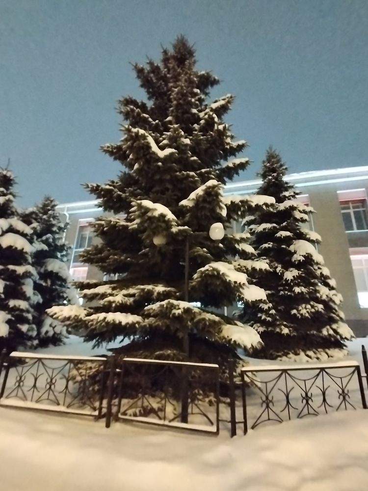 Photograph by Наталия