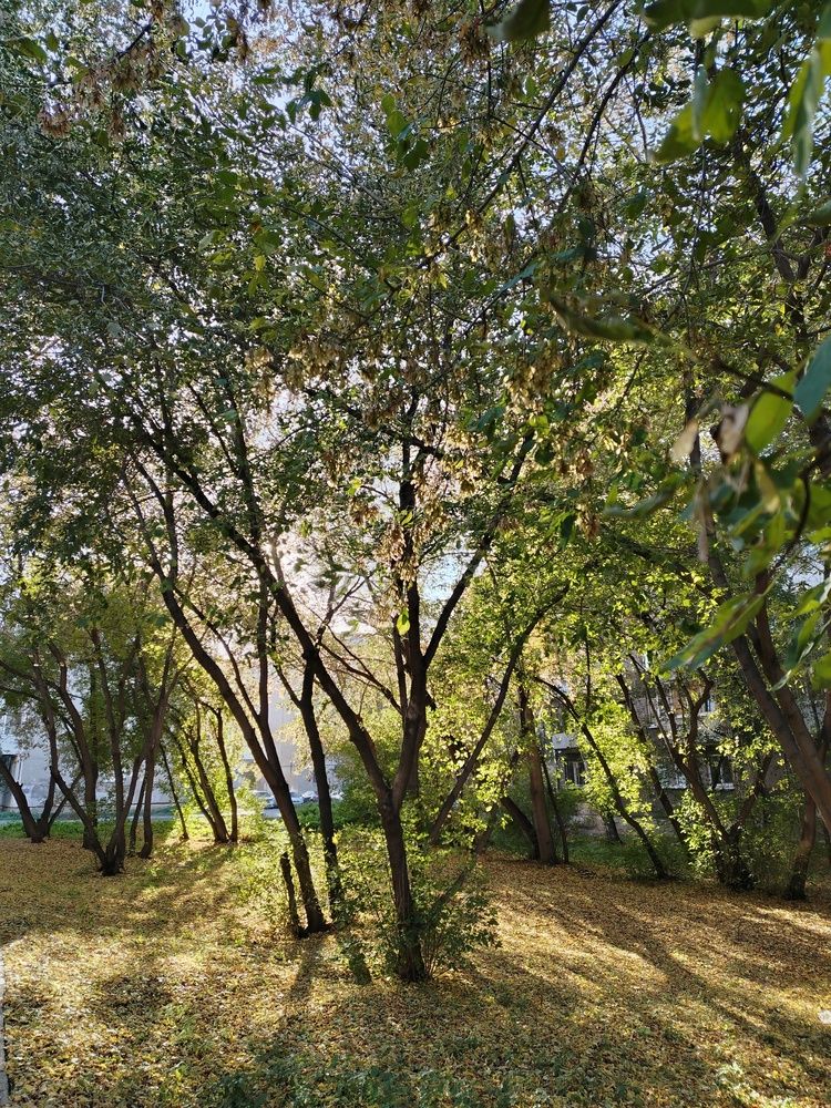 Photograph by Наталия