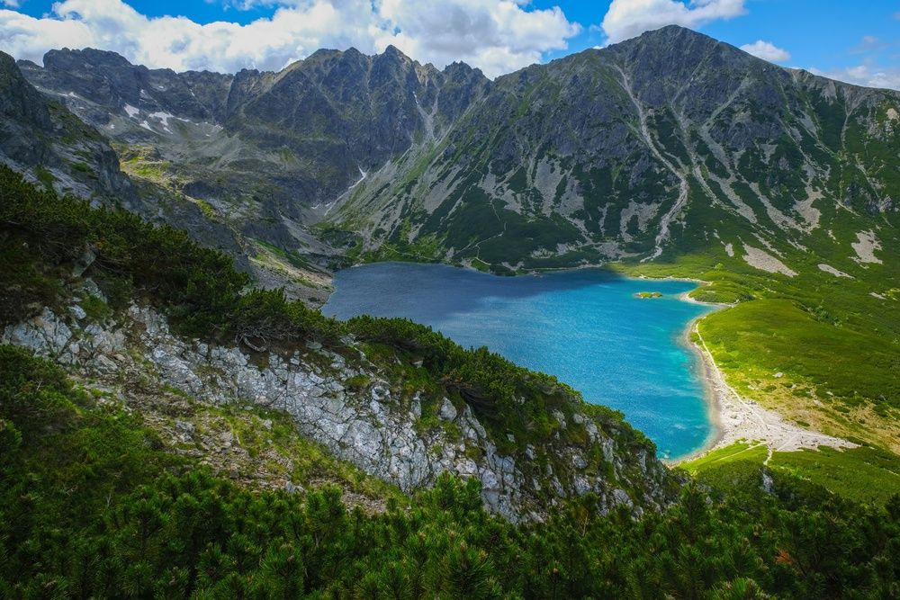 Фотография автора Elvijs Kalnins