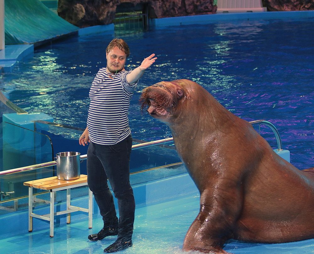 Photograph by АЛЕКСАНДР ЦЫГЕЛЬНЮК