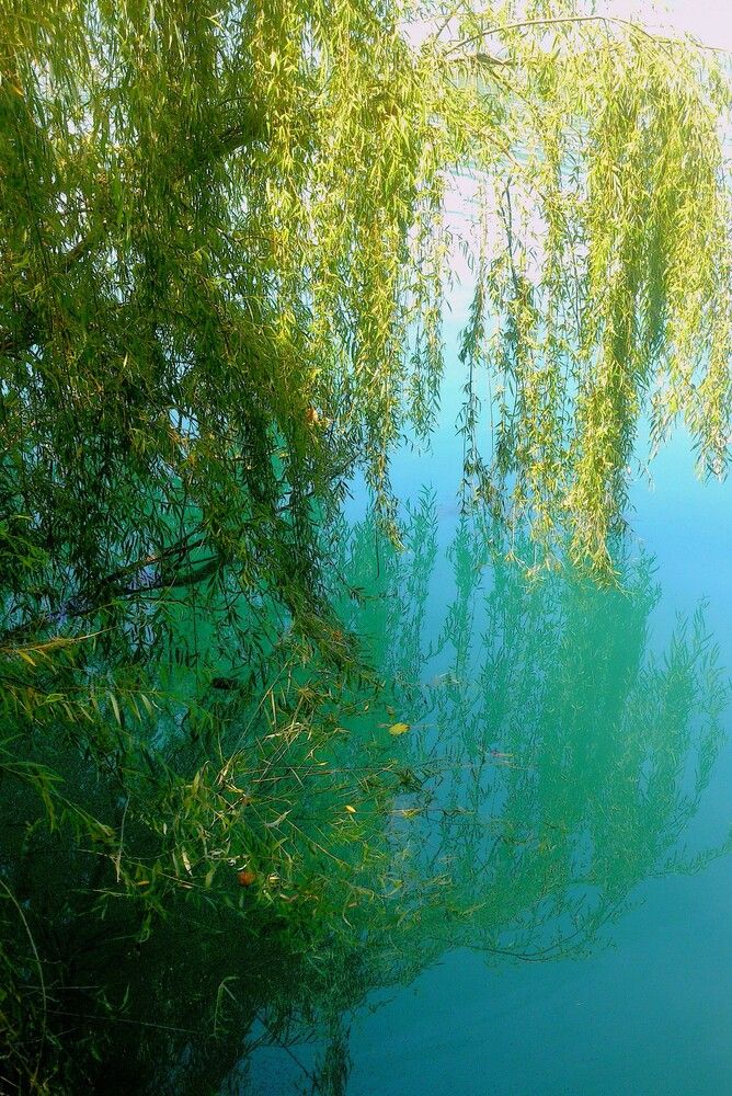 Где-то в Турции