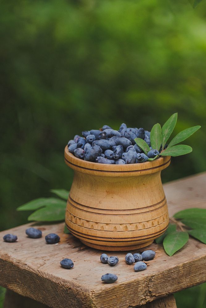 Photograph by Анна Ушакова