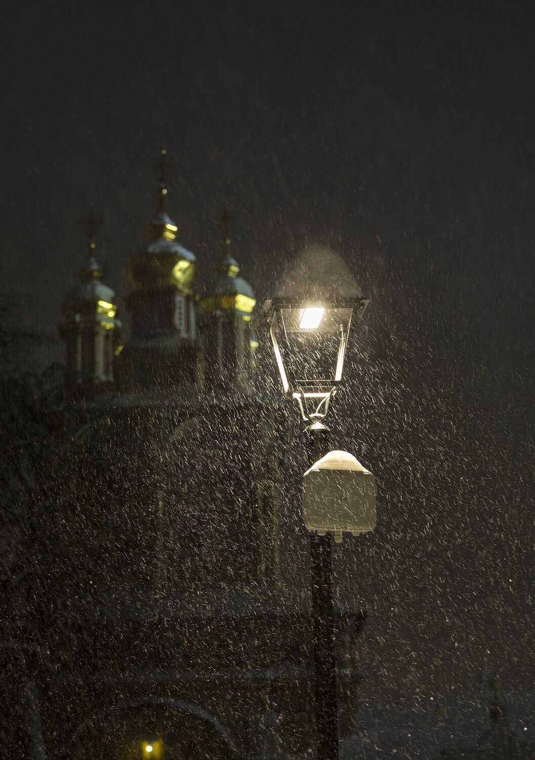 Photo #13163114