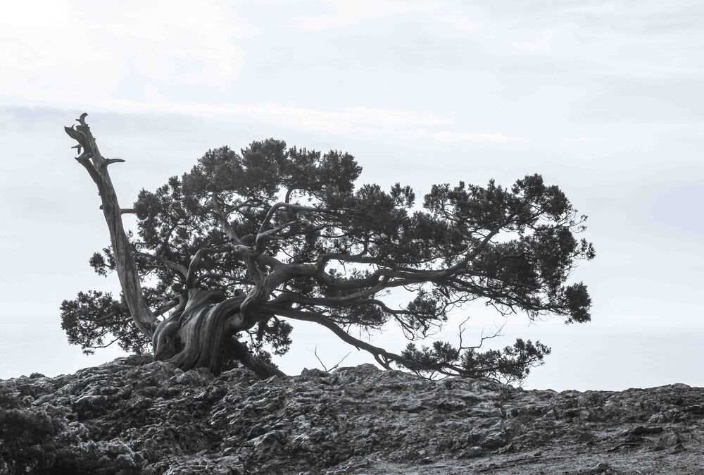 Photograph by Евгения Флиорчук