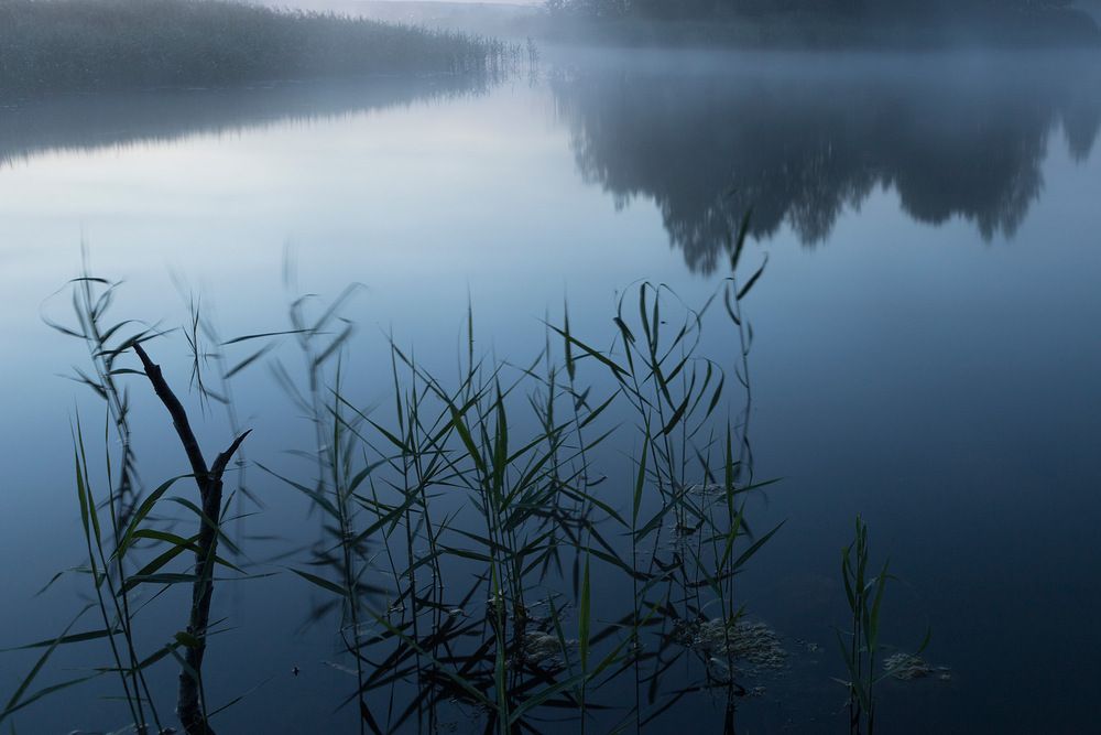 Photograph by Роман Гурененко