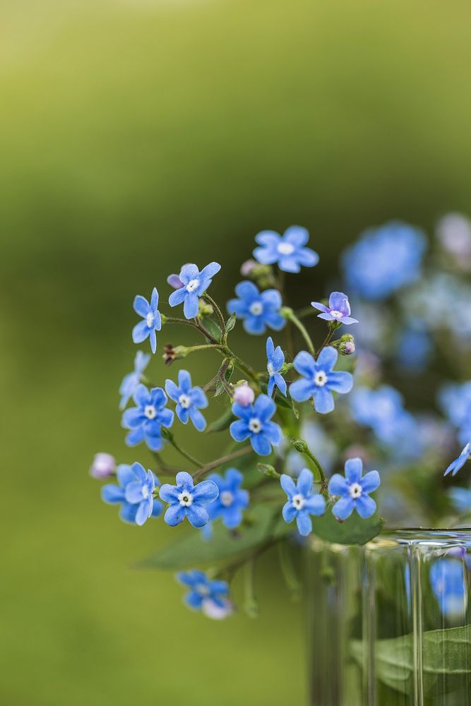 Photograph by Анна Ушакова