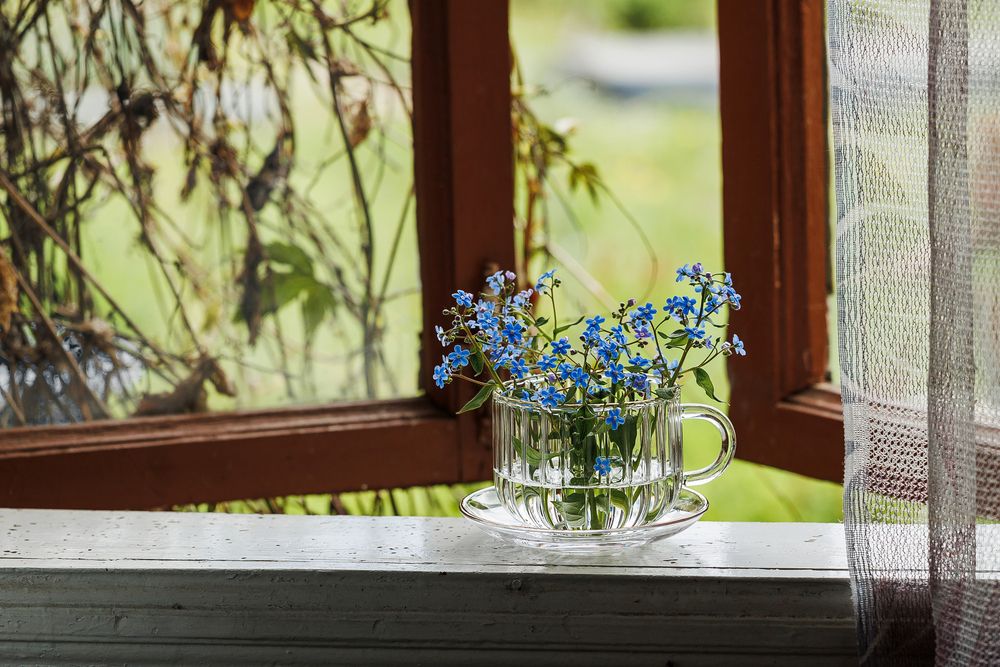 Photograph by Анна Ушакова