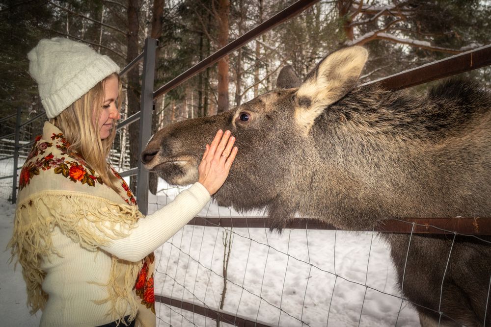 Photograph by Никита Костылёв