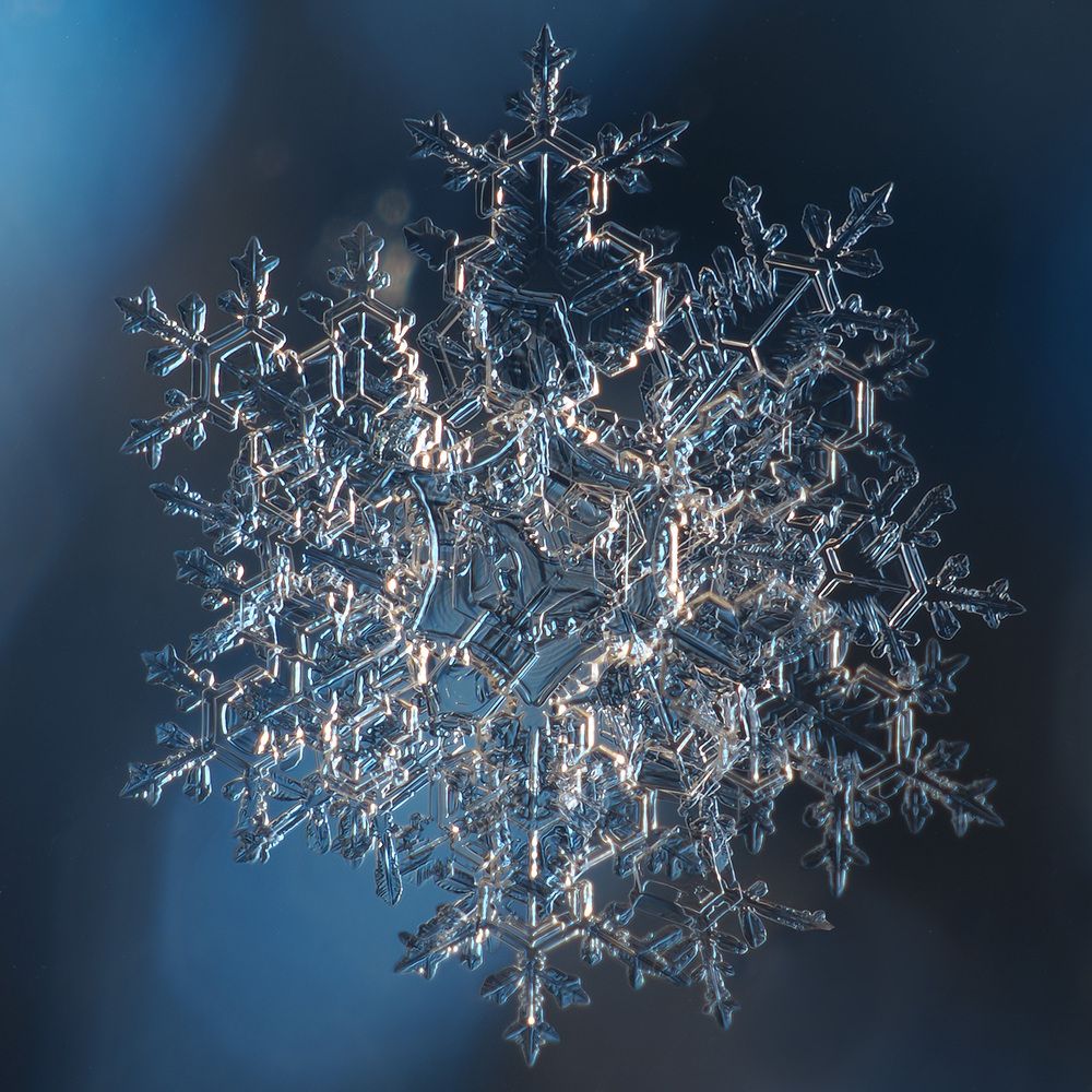 Photograph by Поляков Алексей