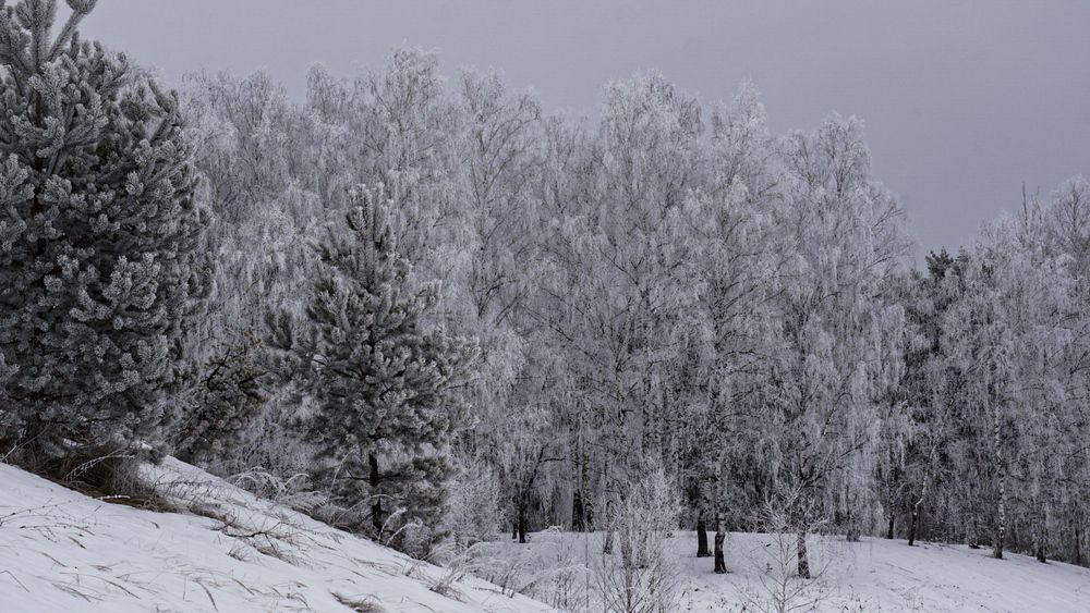 Photograph by Наталья Мубаракшина