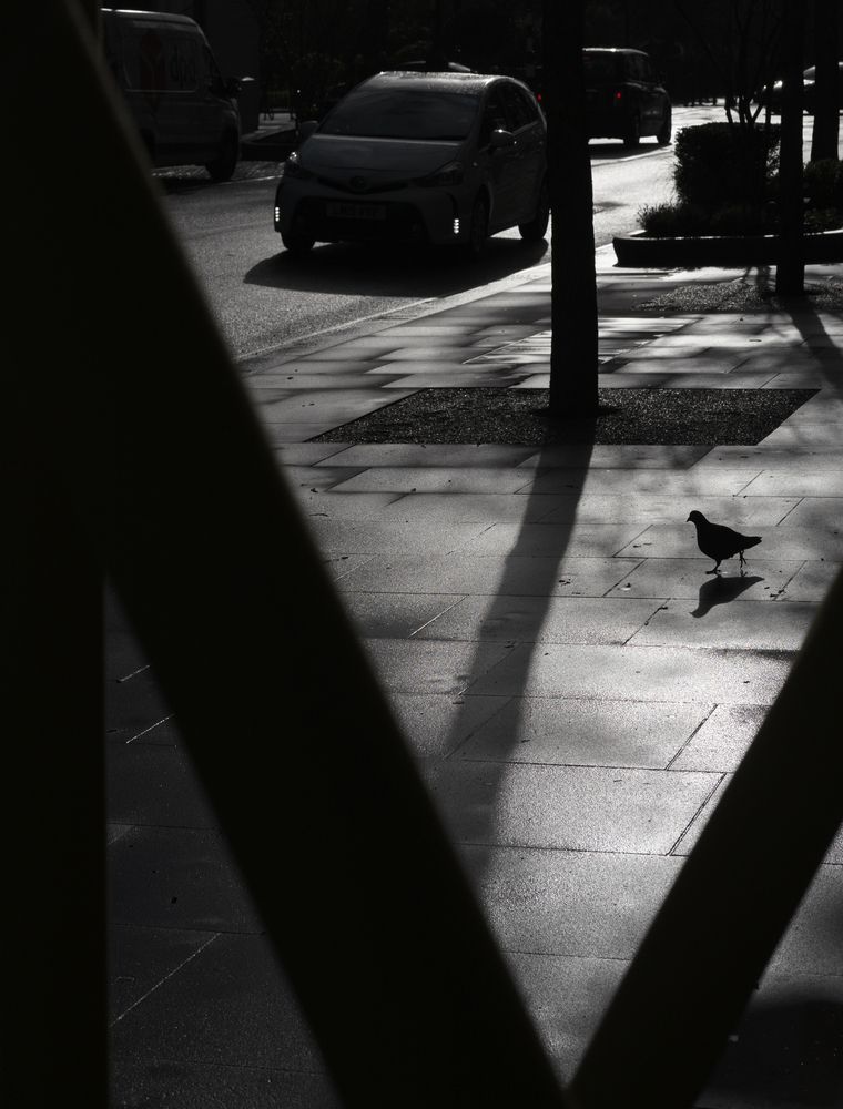 Photograph by Мария Кизерова