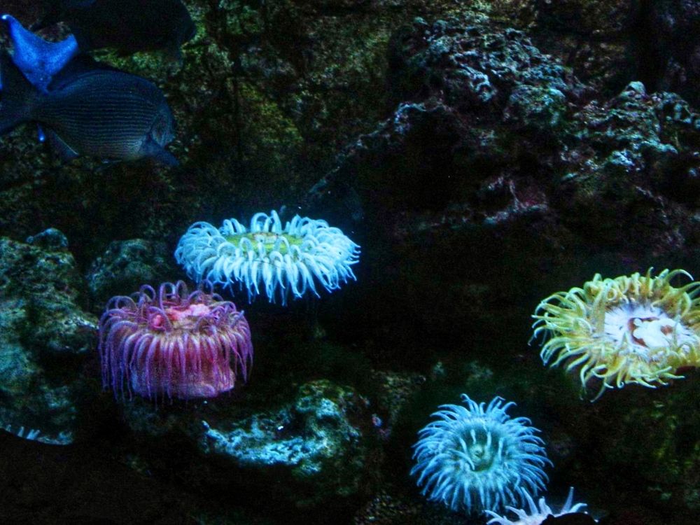 Photograph by Татьяна Мичу-Николаевич