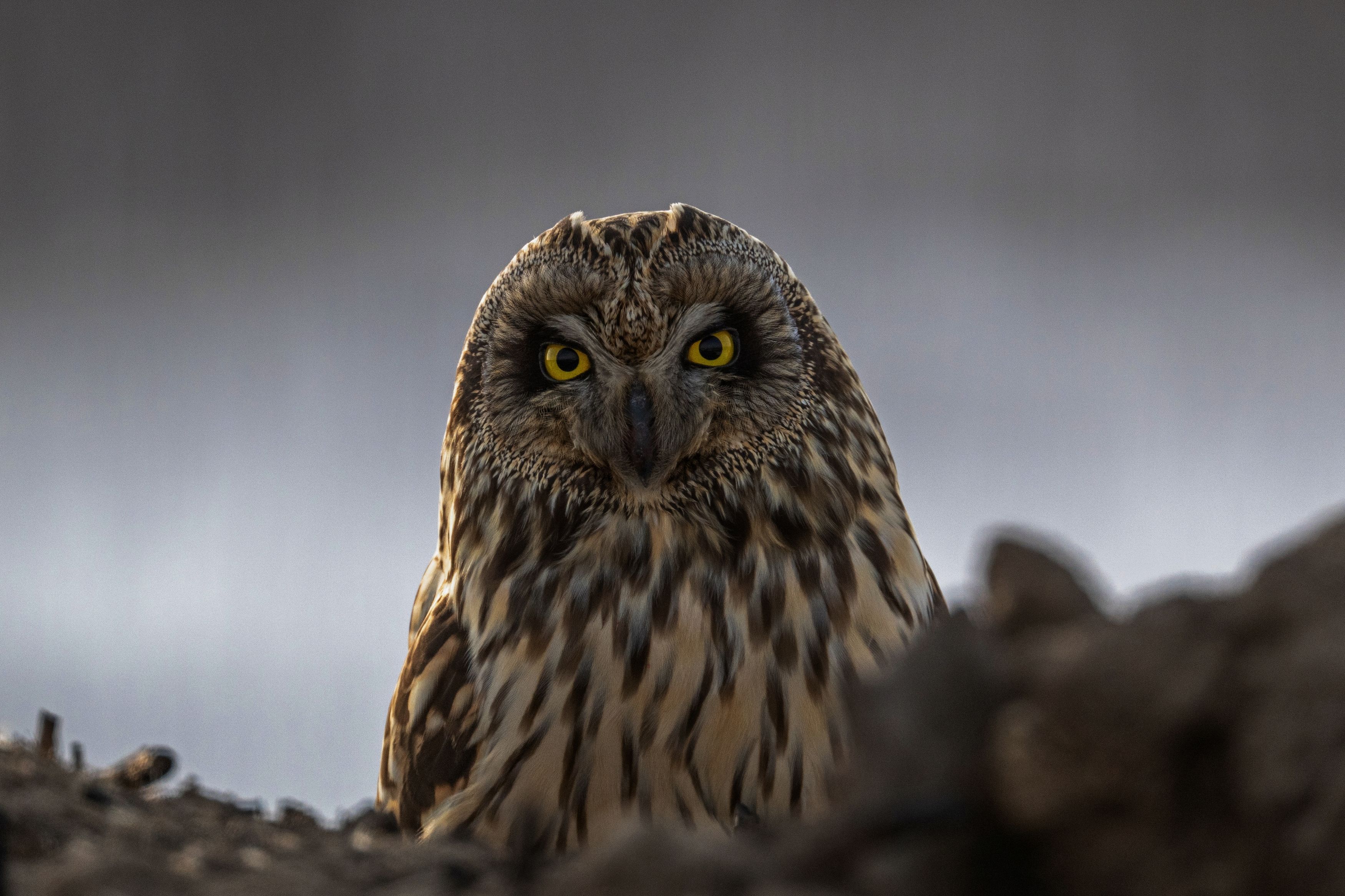 Photograph by Константин Тучин