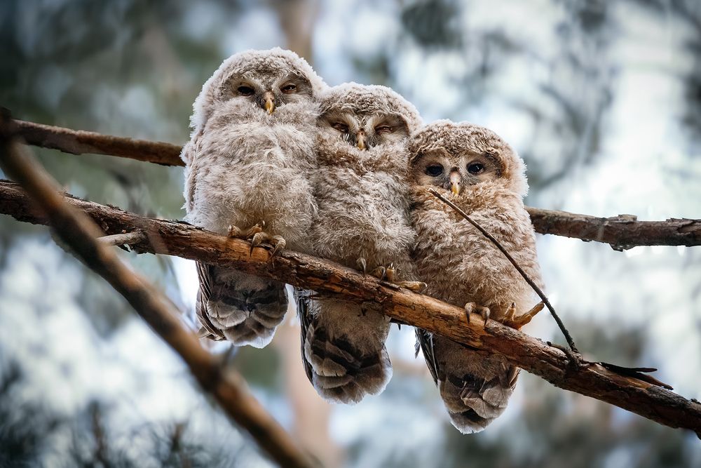 Пальчиком эть