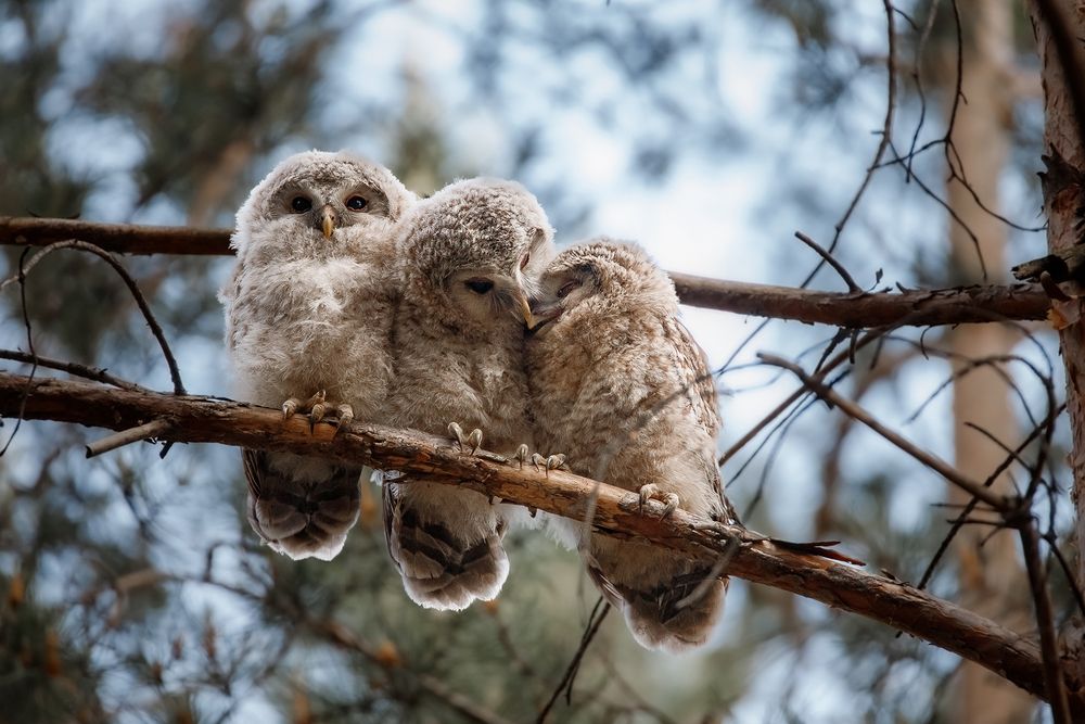 Photograph by Полина Сергеевна