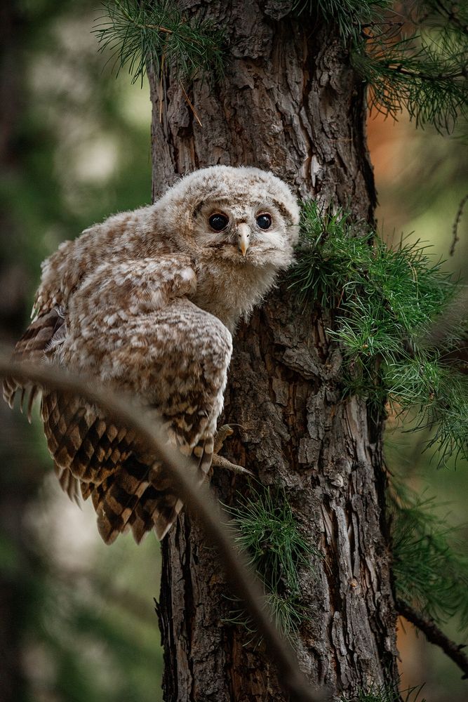 Photograph by Полина Сергеевна