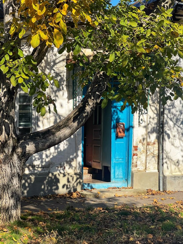 Photograph by Яна Сел