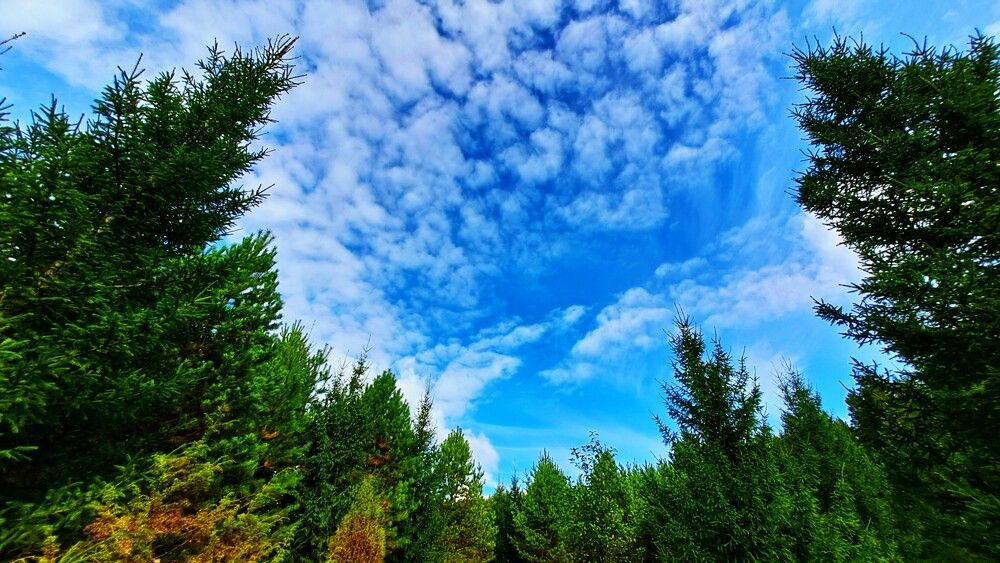 Photograph by Николай Худяков