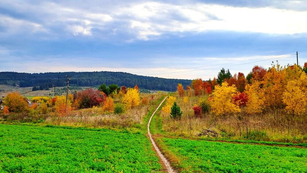 Photograph by Николай Худяков