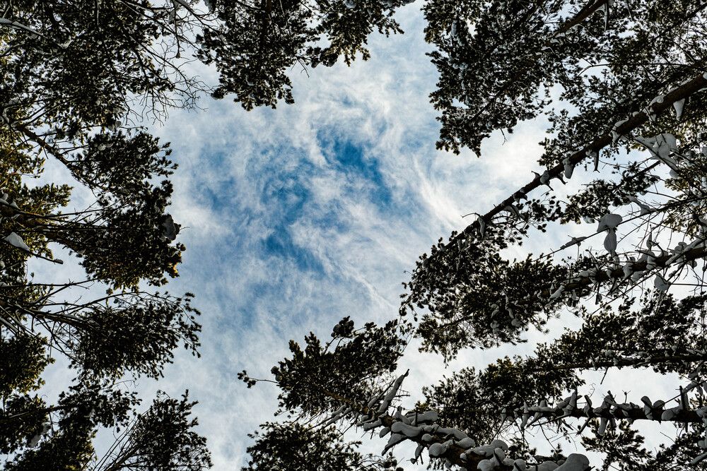 Photograph by Альберт Габбасов