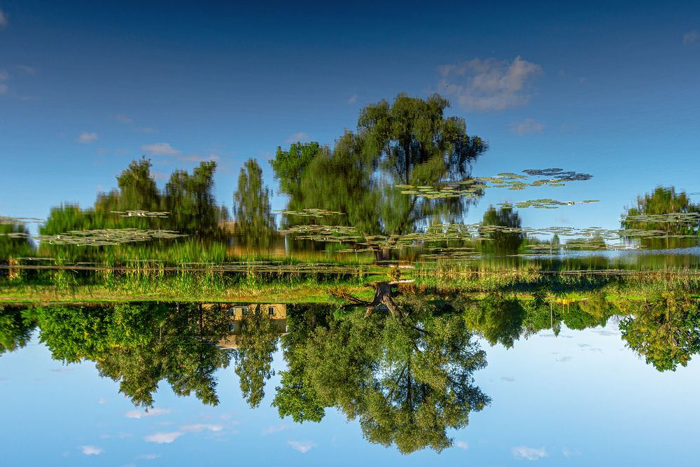 Перевернутая реальность