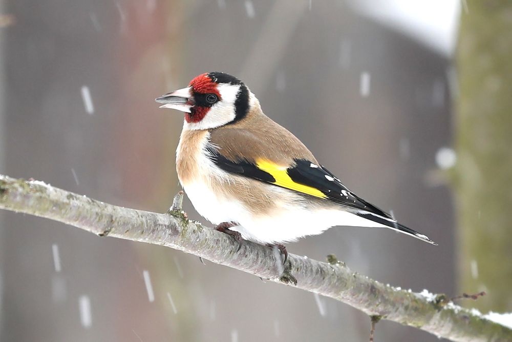 Photograph by Наталья Суслова